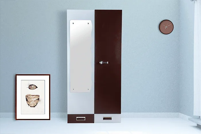 VIVDeal Double Door Mirror Cupboard